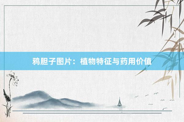 鸦胆子图片：植物特征与药用价值